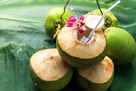 coconut